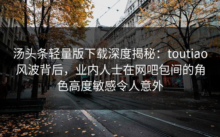汤头条轻量版下载深度揭秘：toutiao风波背后，业内人士在网吧包间的角色高度敏感令人意外